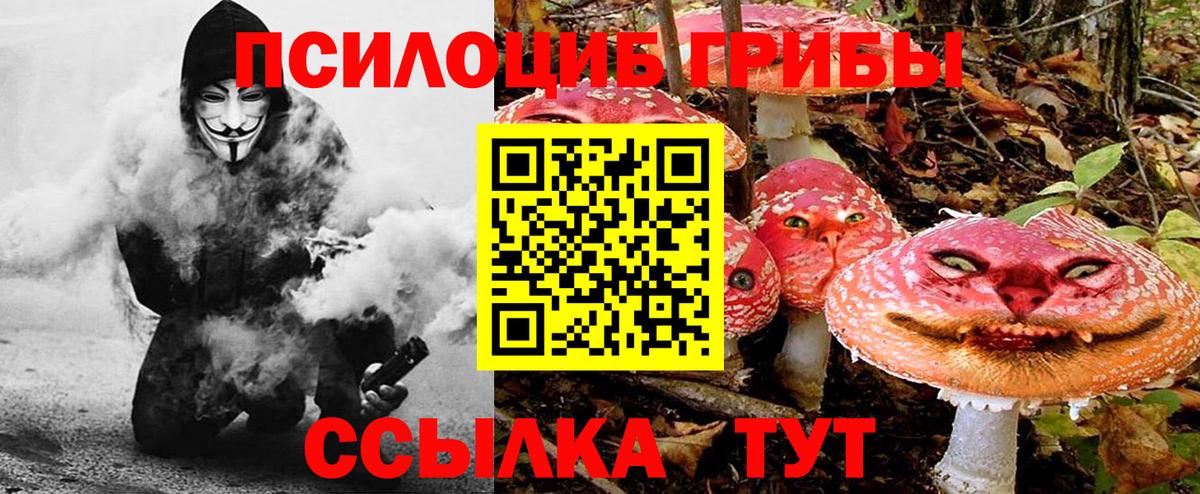 Галлюциногенные грибы мицелий Тимашёвск