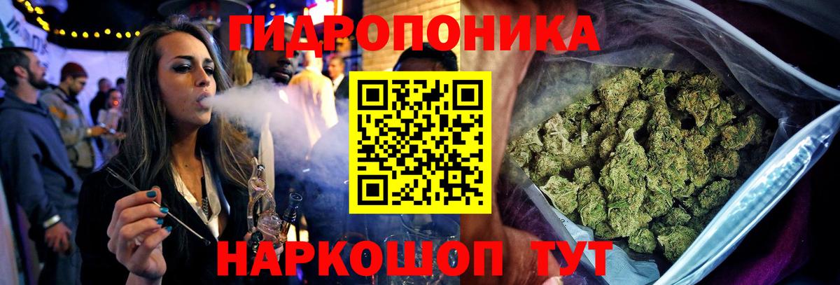 Марихуана планчик Тимашёвск